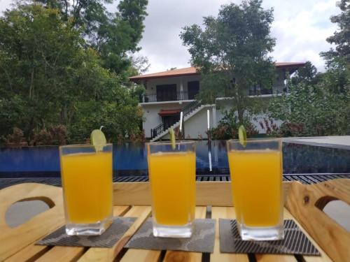 three glasses of orange juice on a table near a swimming pool at Sigiriya Cashew Palace Resort in Sigiriya