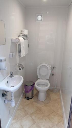 a white bathroom with a toilet and a sink at Leśny Zakątek Radocza in Radocza