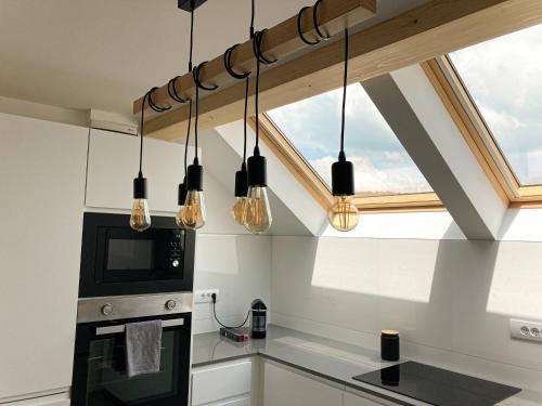 Gallery image of Agro Lux Apartment - Milenović in Soko Banja