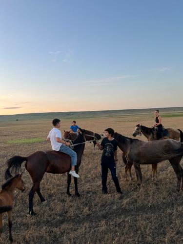 a group of people riding horses in a field at Mamuka's Guesthouse in Udabno