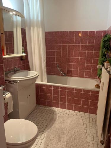 巴特薩克薩的住宿－Liebevolles Appartement-Erholung pur in Bad Sachsa，浴室配有卫生间、浴缸和水槽。