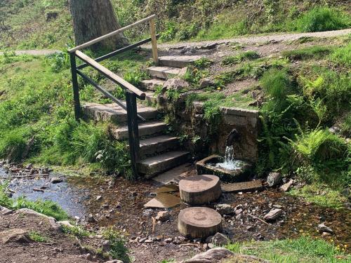 un conjunto de escaleras con una fuente en una colina en Liebevolles Appartement-Erholung pur in Bad Sachsa, en Bad Sachsa