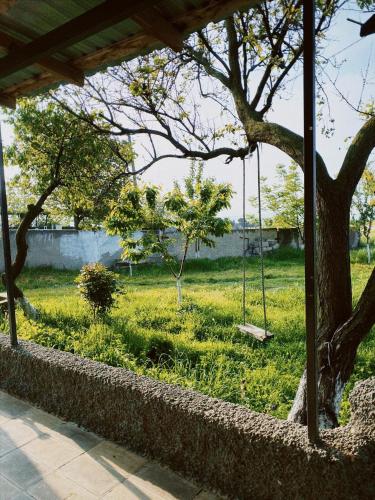 a swing in a field with a tree at Mamuka's Guesthouse in Udabno