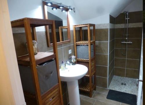 ein Bad mit einem Waschbecken und einer Dusche in der Unterkunft La vue sur le Mont Ventoux, appartement & parking in Cairanne