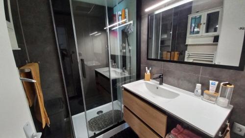 a bathroom with a sink and a shower at Maison avec jardin, quartier calme, 2 chambres - plain pied in Saint-Hilaire-de-Riez