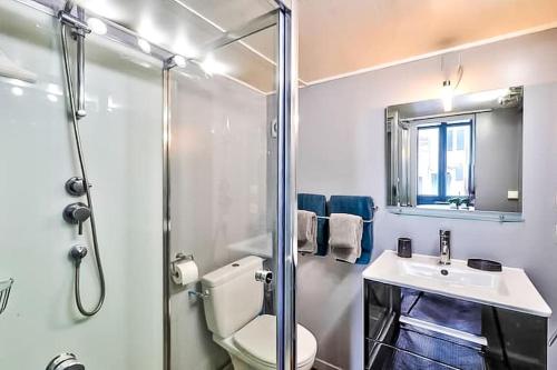 a bathroom with a shower and a toilet and a sink at Appartement Chic & Baroque avec parking sécurisé in Avignon