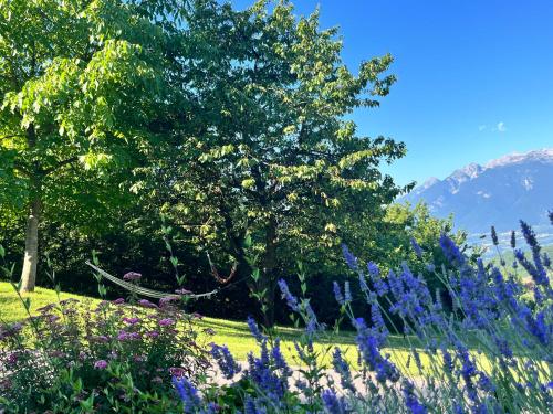 a garden with purple flowers and a tree and mountains at Ciasa Erica - Val di Non in Predaia