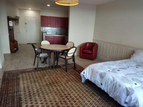 Photo de la galerie de l'établissement Très grand studio au pied du plateau d'Angoulême., à Angoulême