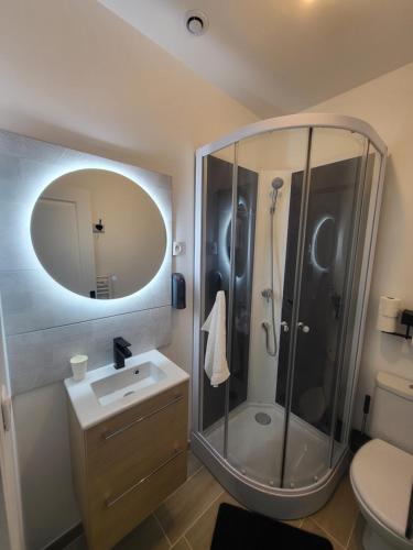 a bathroom with a shower and a sink and a mirror at Studio proche gare Vernon Giverny avec parking gratuit in Vernon