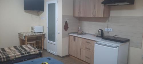 a small kitchen with a sink and a counter at Petite Chambre in Velyatyn