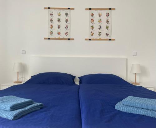 1 dormitorio con 2 camas azules y 2 ventanas en PÁLAVSKÉ DOMKY en Pasohlávky