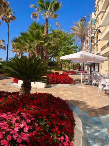La Rada beach Estepona centro