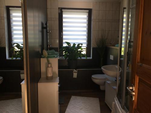 a bathroom with a toilet and a sink and two windows at Zur alten Zahnradbahn in Sankt Andreasberg