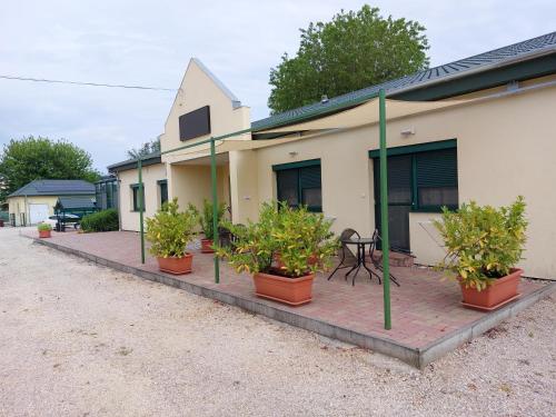 a row of potted plants in front of a building at Szárszó Panzió in Balatonszárszó