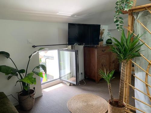 a living room with potted plants and a flat screen tv at Appartement - Galerie BOTANIC ART Trentemoult in Rezé
