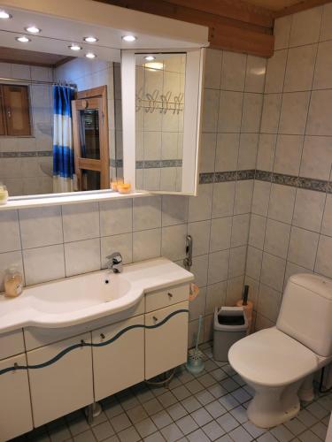 a bathroom with a sink and a toilet and a mirror at Villa Okra in Rastinniemi
