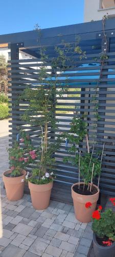 a group of potted plants in pots on a patio at Apartments Matea in Baška