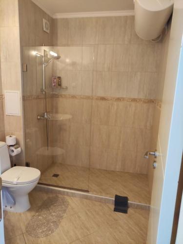 a bathroom with a shower and a toilet at Apartments Atia Resort in Chernomorets