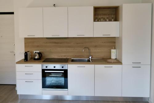A kitchen or kitchenette at Valtellina Vacanze