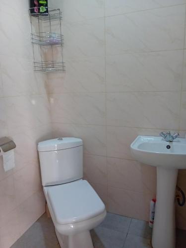 uma casa de banho com um WC e um lavatório em Guesthouse em Oni