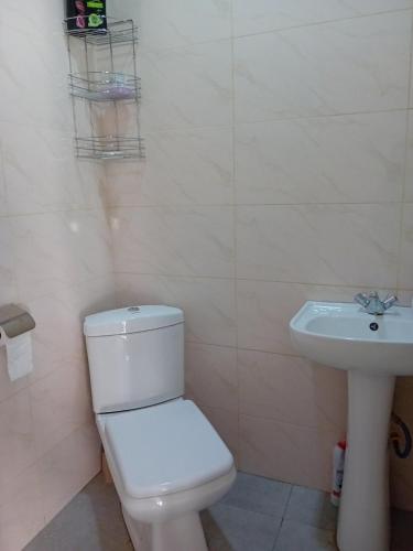 bagno con servizi igienici e lavandino di Guesthouse a Oni