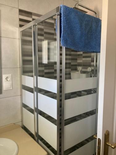 La salle de bains est pourvue d'une douche, de toilettes et d'une serviette bleue. dans l'établissement Apart en fuengirola, à Fuengirola