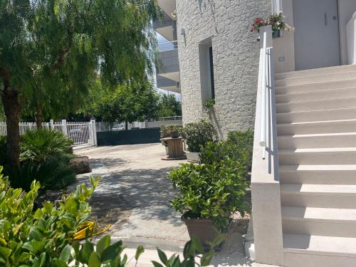 Κήπος έξω από το B&B L’ALTRAMURGIA