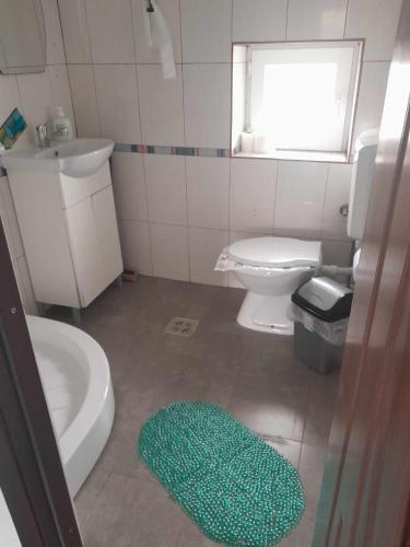 a bathroom with a toilet and a sink and a green rug at Casa Octavia in Schitul