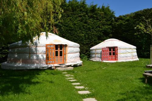 two yaks sitting in the grass in a field at Rando-Yourte in Paluel