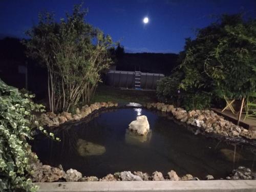 a pond with a rock in the water at night at chambre d'hôtes de Lamy 1 in Pierrerue
