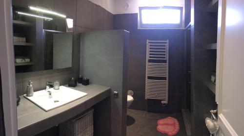 une salle de bain avec un lavabo, une douche et des toilettes dans l'établissement Mini villa à 200m de la plage, à Borgo