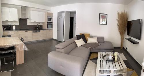 Il comprend un salon avec un canapé gris et une cuisine. dans l'établissement Mini villa à 200m de la plage, à Borgo