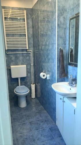a bathroom with a toilet and a sink at Apartma Sonček in Ljubljana