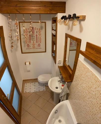 a bathroom with a toilet and a sink at Modrá chaloupka in Opařany