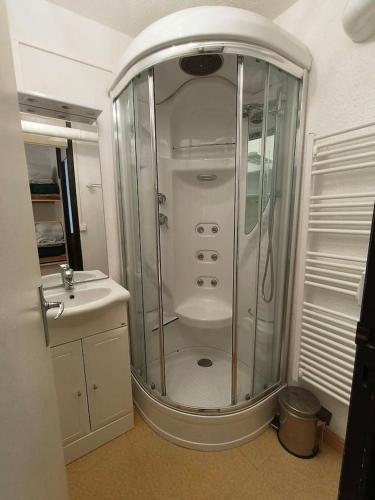 une salle de bain avec douche et lavabo dans l'établissement Appart 4/6 pers pied des pistes La Mongie, à Bagnères-de-Bigorre