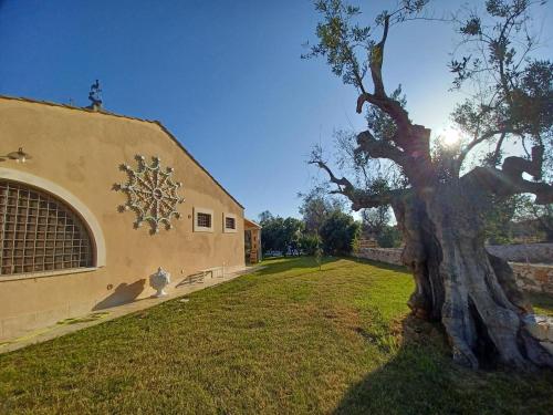 Torre Guaceto Home – Photos 5