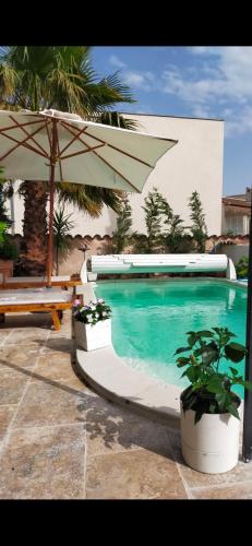 - une piscine avec un parasol et des plantes en pot dans l'établissement Villa des palmiers, à Saint-Saturnin-lès-Avignon