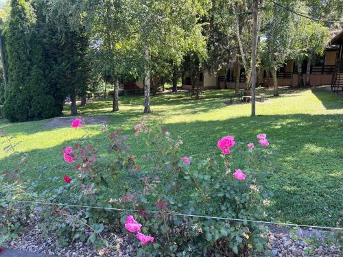 a bunch of pink roses in a yard at Planinske Kuće Grocka in Grocka