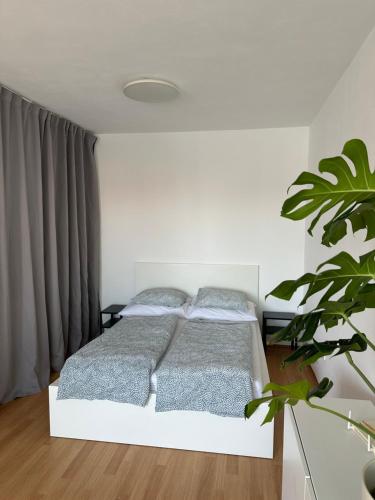 a bedroom with a white bed and a plant at Apartmán ERUDITO in Jihlava