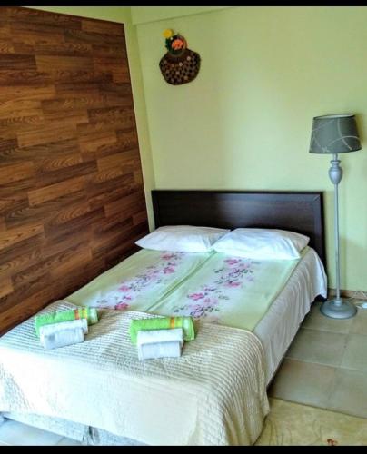 a bedroom with two twin beds in a room at Grlica in Bar