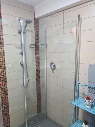 um chuveiro com uma porta de vidro na casa de banho em בין הר למעיין em Kefar Tavor