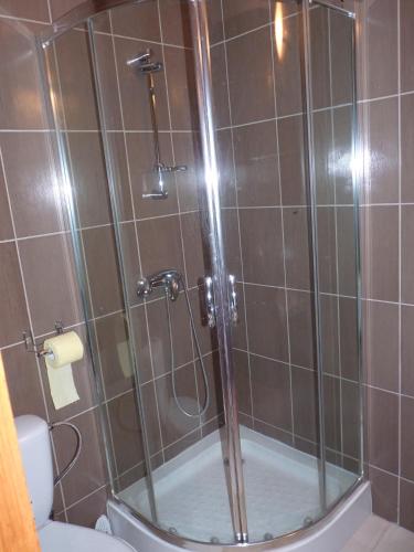 a shower with a glass door in a bathroom at Noclegi Dobry Sen in Samborzec