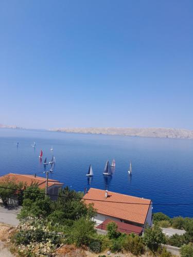 a group of boats on a large body of water at Kiko 2 in Senj