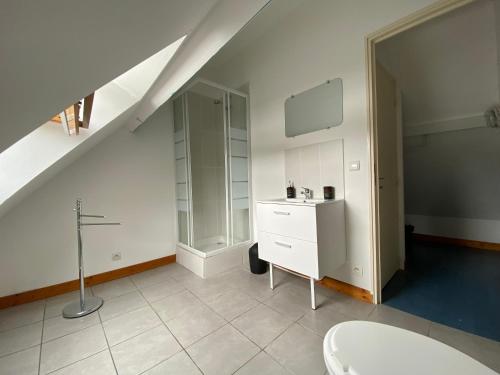 Appartement village médiéval في Parnac: حمام مع حوض ومرحاض في الغرفة