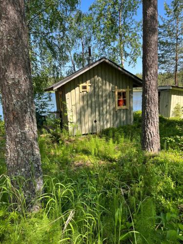 una pequeña cabaña en el bosque con árboles en Koivuisenranta, en Kalmari