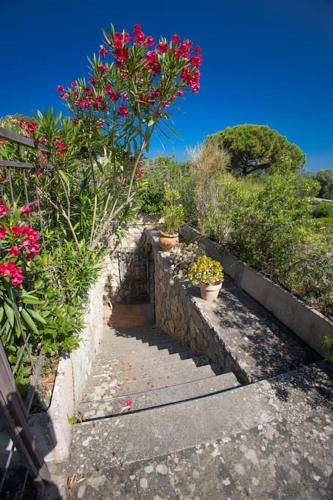 a stairway with flowers and plants on it at Affitti Brevi Toscana - Forte Militare Talamonaccio in Fonteblanda