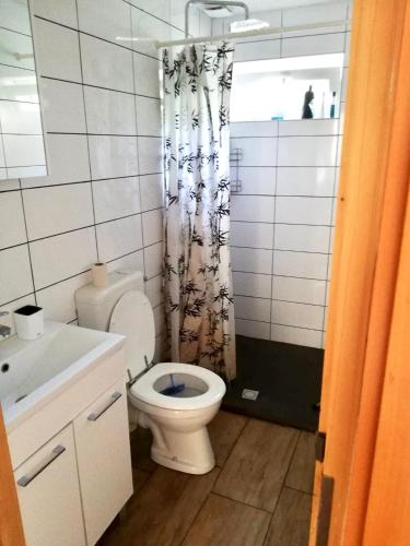 a bathroom with a toilet and a shower curtain at Apartment in Nijmegen voor 3 personen in Kranenburg