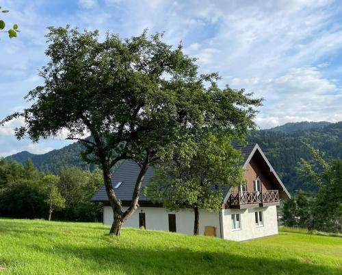 a house in a field with a tree in the foreground at Przystanek 470 in Krościenko