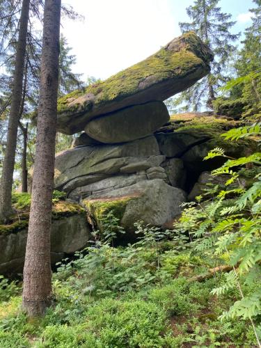 a rock pile with a tree on top of it at Ferienhaus Plöckenstein in Schwarzenberg am Bohmerwald