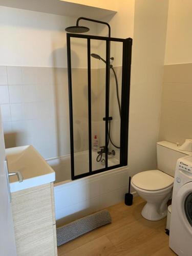 une salle de bain avec une douche avec des toilettes et un lavabo dans l'établissement Marinella, vue mer panoramique, superbe T2 plage à 150 m, à Ajaccio